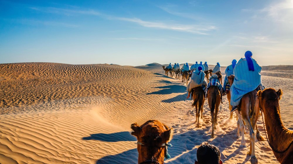 caravane-chameaux-allant-dans-desert-du-sahara-tunisie-afrique (1)