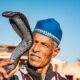 Charmeur de Serpent Dakhla, Maroc