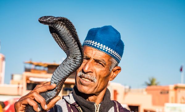 Charmeur de Serpent Dakhla, Maroc