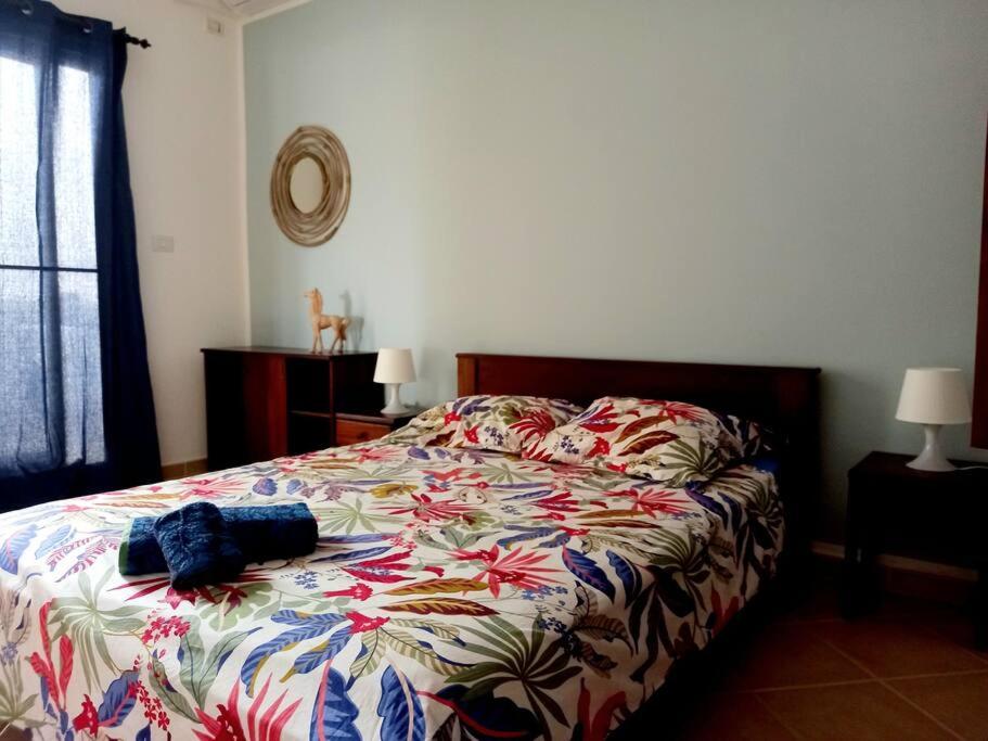 kite camp cap vert appartement 12