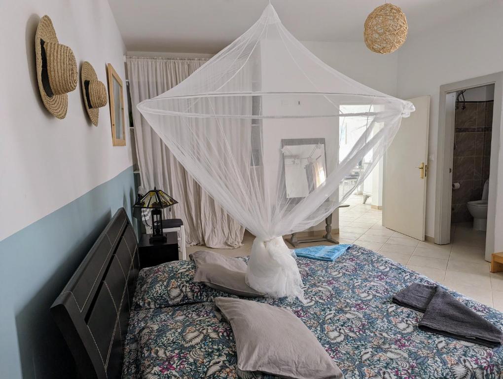 kite camp cap vert appartement 13