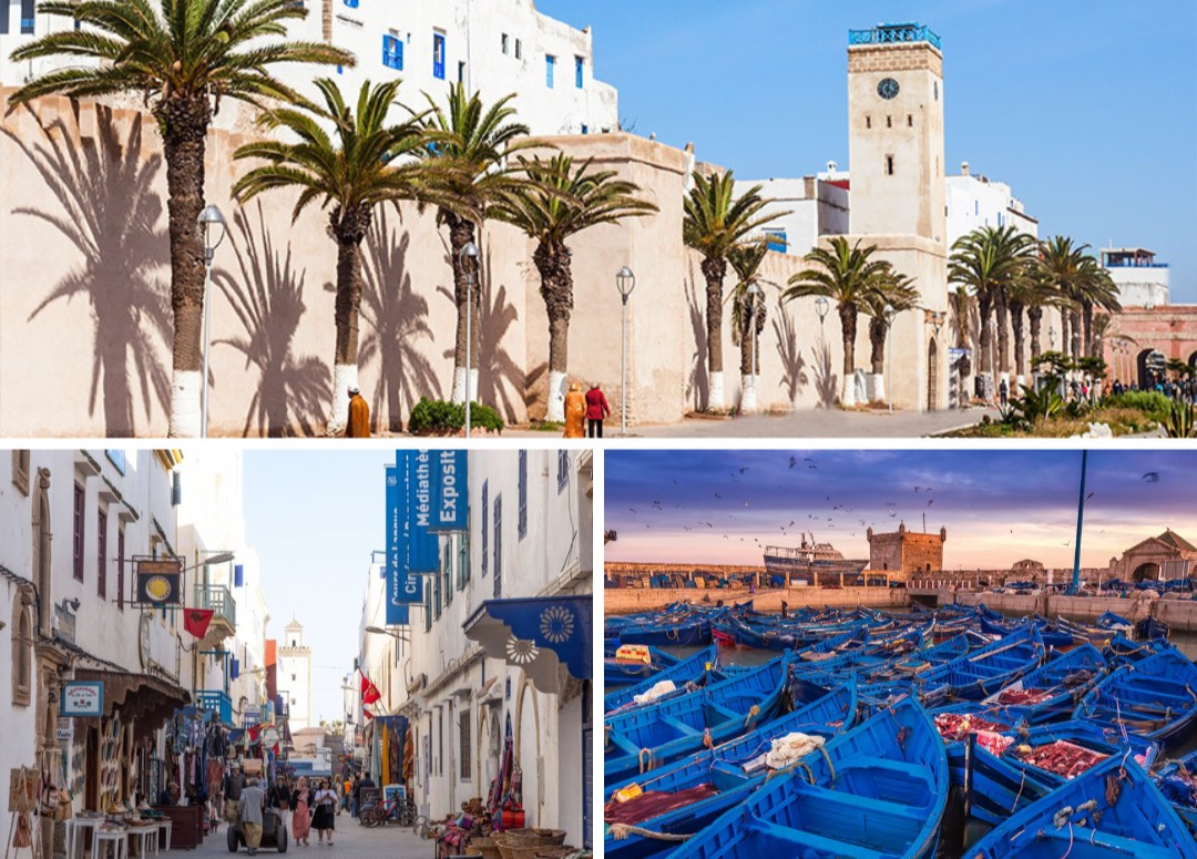 Essaouira Surf Camp Taghazout Maroc